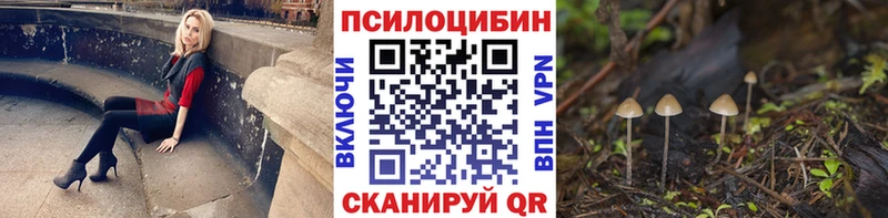 Псилоцибиновые грибы мицелий  где купить наркоту  Людиново 